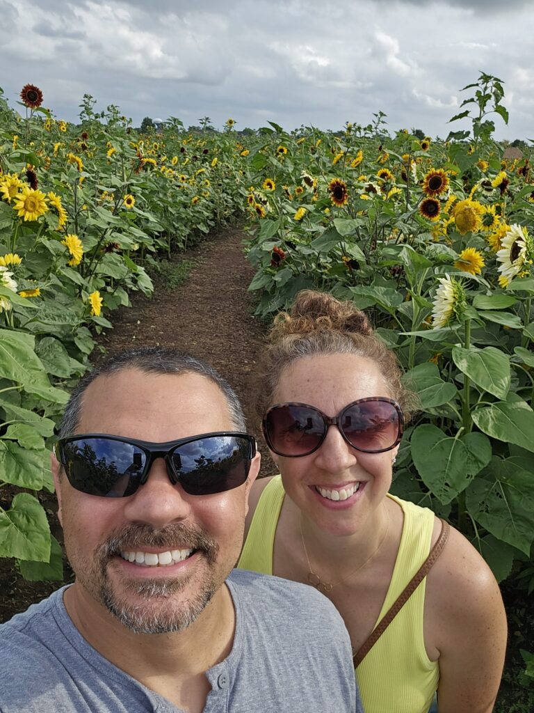 Sunflower Field at Tom's Farm Market