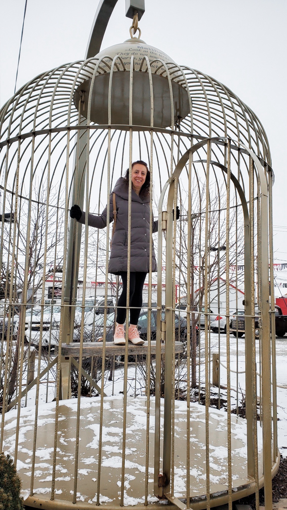 The third image is Angela in a Big Birdcage standing on a perch. There is some snow on the ground.