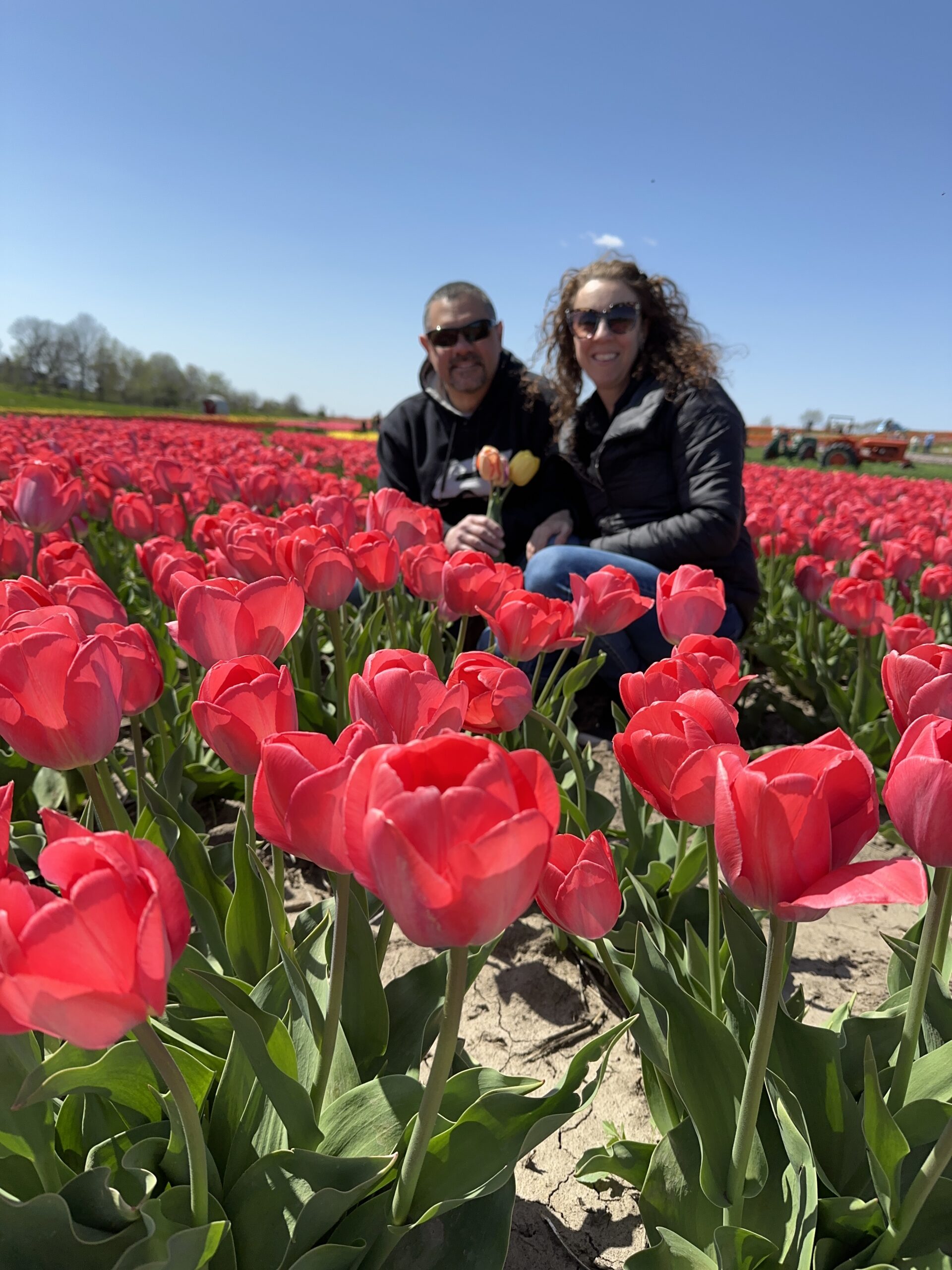 Angela and Dominic sitting amidst a vibrant field of red tulips under a clear blue sky. They are both wearing sunglasses and holding multiple tulips, enjoying a sunny day in the tulip field.