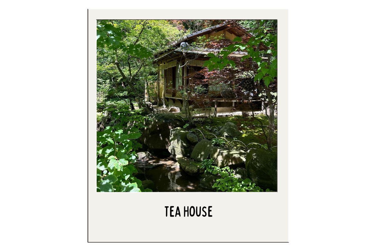 A traditional wooden tea house at the Anderson Japanese Gardens is partially obscured by lush greenery and trees. The scene includes a small stream flowing over rocks in the foreground. The polaroid image has a white border with the text "TEA HOUSE" at the bottom.