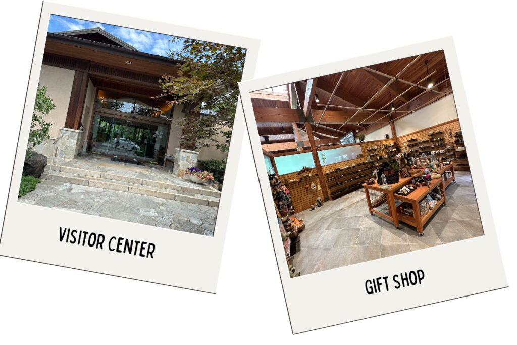 "Two polaroid style photos side by side, labeled 'Visitor Center' and 'Gift Shop.' The Anderson Japanese Gardens Visitor Center photo shows an entrance with stone steps and large glass doors, surrounded by plants. The Gift Shop photo displays the interior with wooden beams, shelves of merchandise, and tables with various items for sale."