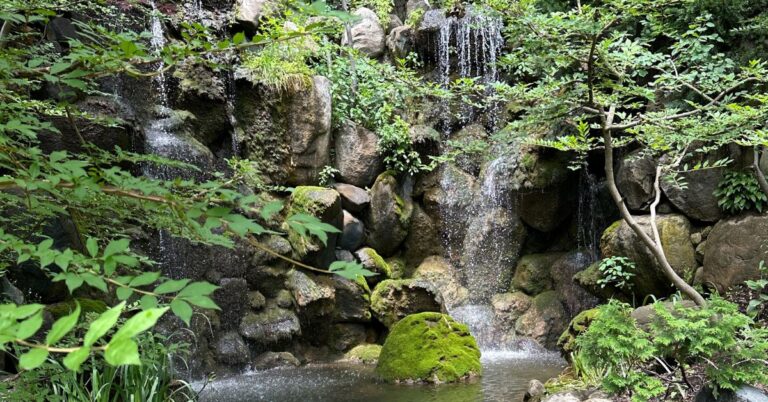 A serene photo of a small waterfall. Water cascades over moss-covered rocks into a shallow pool, surrounded by various plants and trees with some red leaves adding a pop of color. The scene is tranquil and natural, evoking a sense of peace.